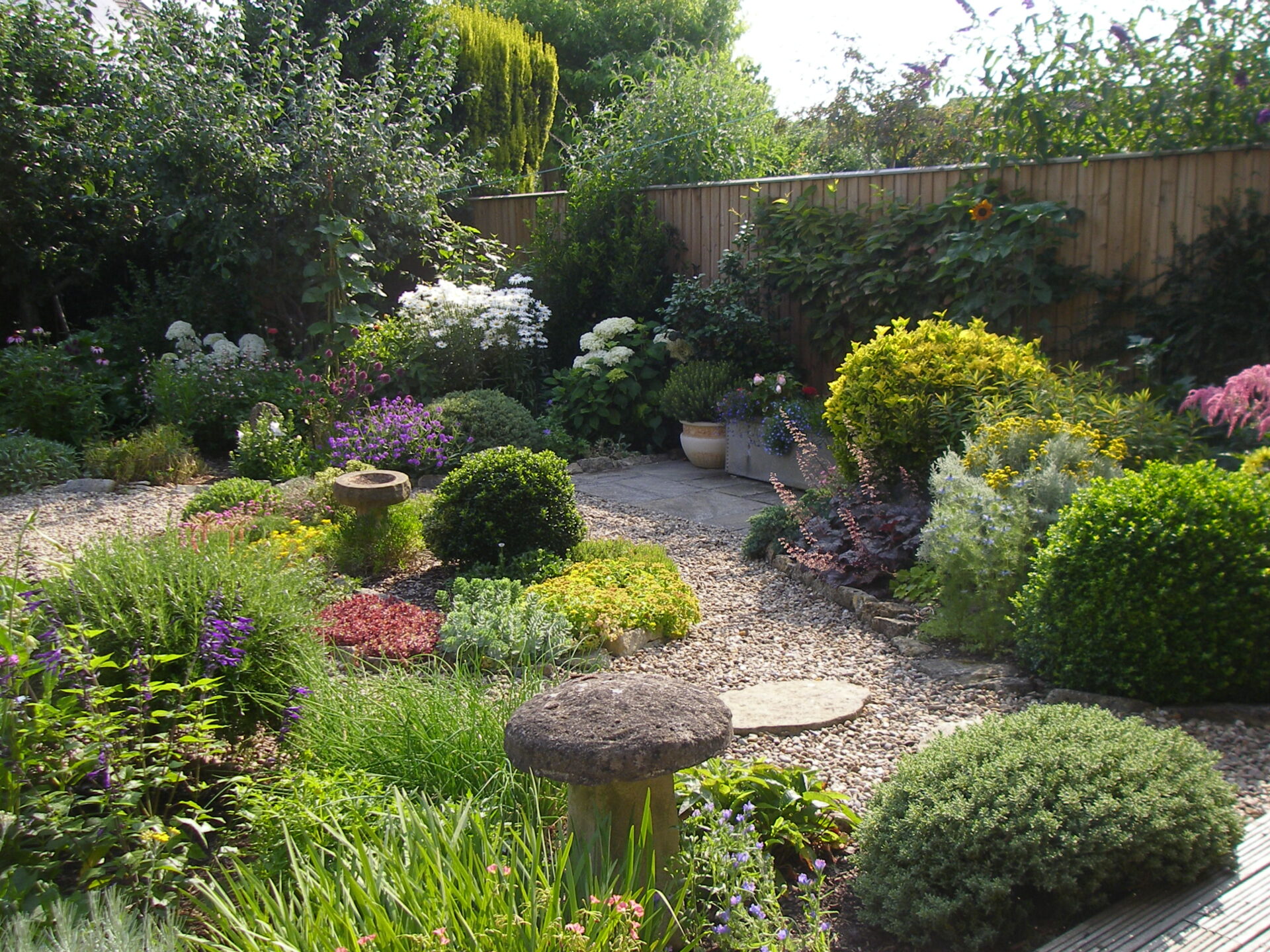 A beuatiful summer garden.