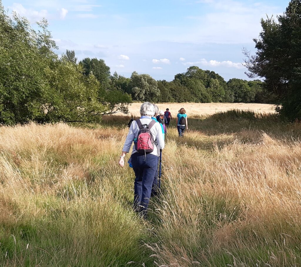 Back view photo of one of our walking groups out in the Summer.