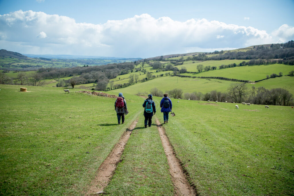 An image of people walking down hill through countryside